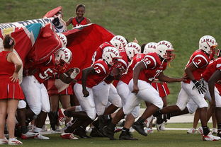 开云官网登录-青少年体育活动参与模式及影响因素分析,《青少年体育活动促进计划》 第2张 开云官网登录-青少年体育活动参与模式及影响因素分析,《青少年体育活动促进计划》 第2张